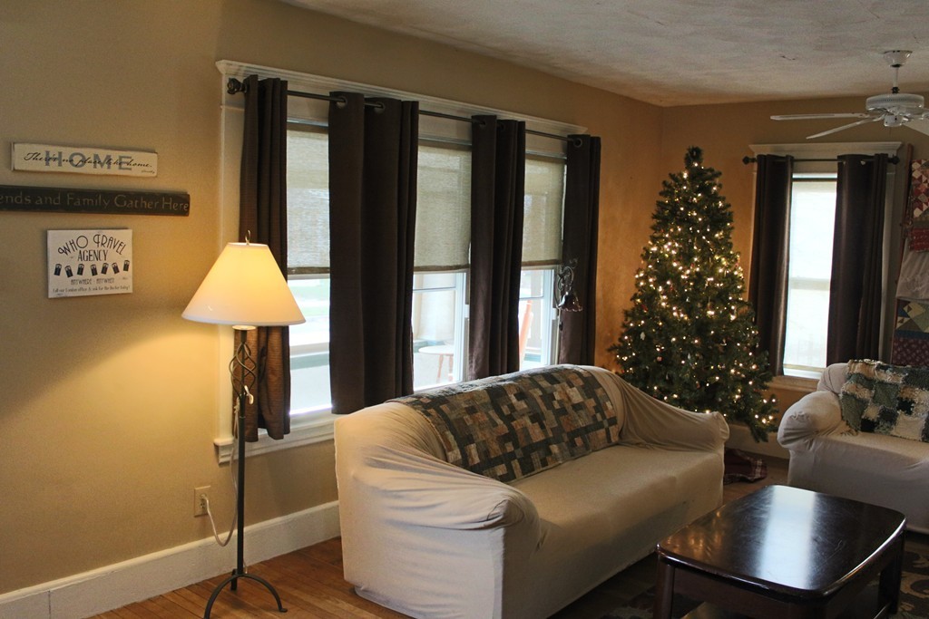 58 Larkspur Street Springfield, MA 01108 - Photo 6 of 29 a living room with a couch and a potted plant
