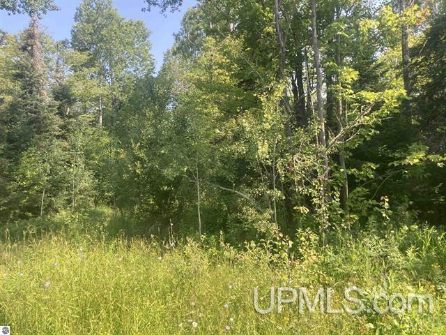 Tbd Tbd County Line Road Pelkie, MI 49958 - Photo 5 of 5