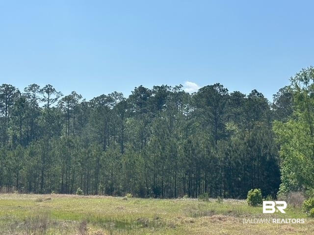 0 I-65 Service Road Satsuma, AL 36572 - Photo 7 of 27 View of landscape featuring a forest view