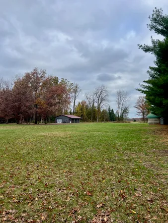 a view of a field with large trees