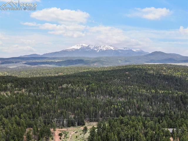 103 Alpine Road Woodland Park, CO 80863 - Photo 11 of 47 Gallery Image 11