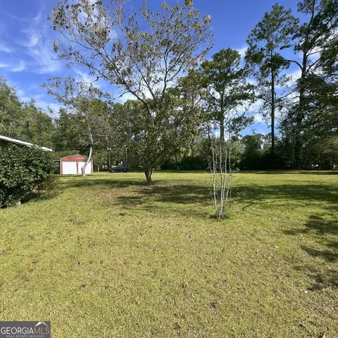 a view of a field with a tree