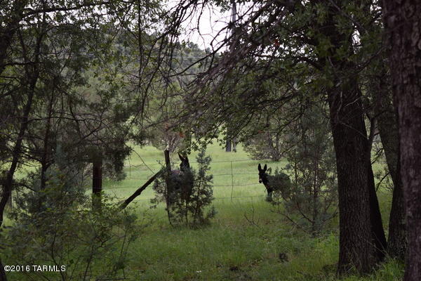 Umpire Ranch Road Elgin, AZ 85611 - Photo 17 of 27