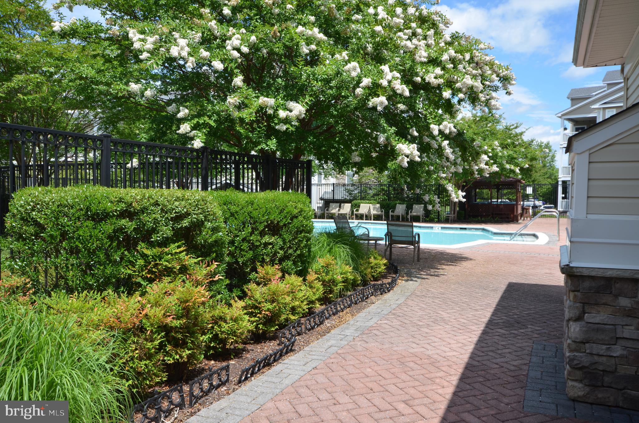 512 Sunset View Terrace Southeast, Unit 406 Leesburg, VA 20175 - Photo 28 of 34 Beautiful community pool