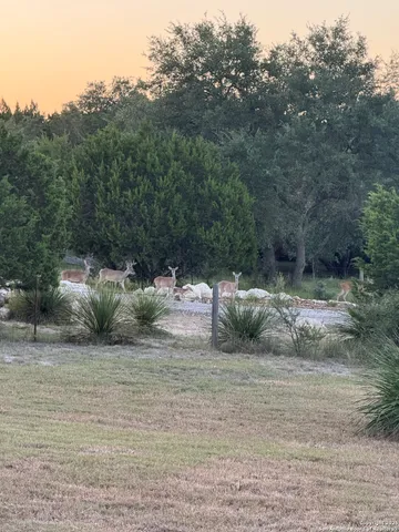 a view of a water pond