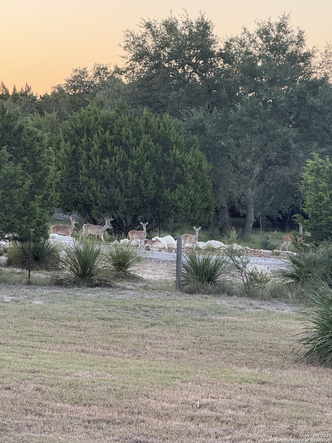 107 Ridge View Drive Boerne, TX 78006 - Photo 50 of 53 a view of a water pond