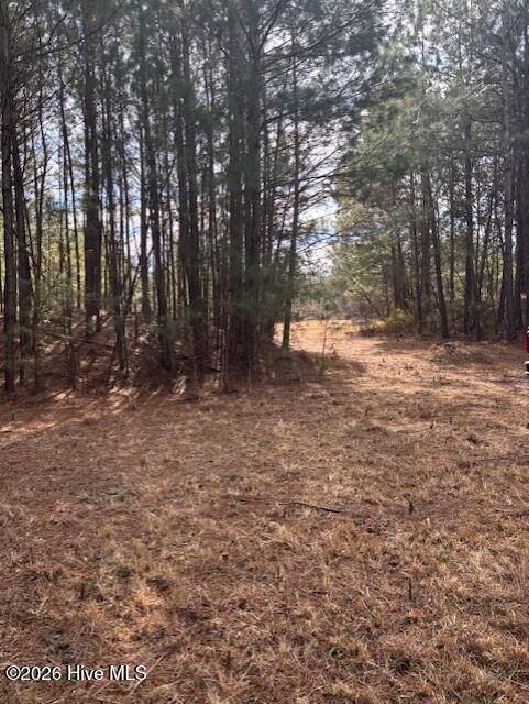 10-acres Scott Road Pollocksville, NC 28573 - Photo 1 of 22 1a1833b3-9ecc-4da2-8a04-f229d01846cb