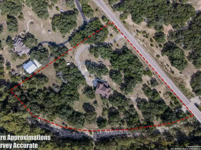 a view of a garden with flowers