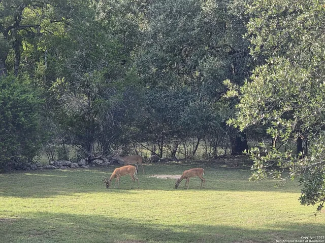 a view of swimming pool with a yard