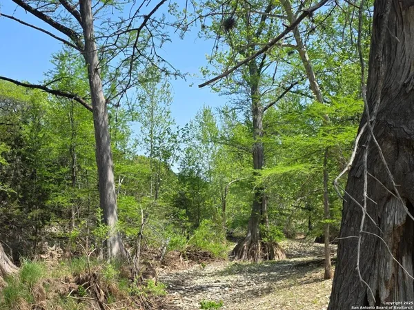 $785,000 | 501 River Mountain Drive, Boerne, TX 78006