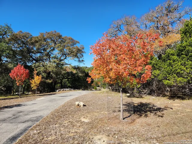 a street view covered with snow