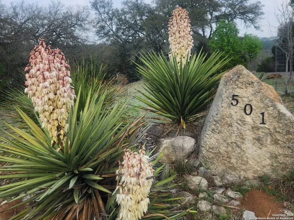 $785,000 | 501 River Mountain Drive, Boerne, TX 78006