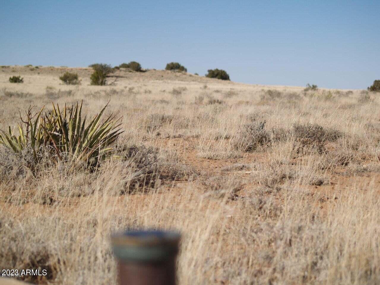 Lot 663 Chevelon Canyon Ranch, Unit 663 Heber, AZ 85928 - Photo 4 of 5 4