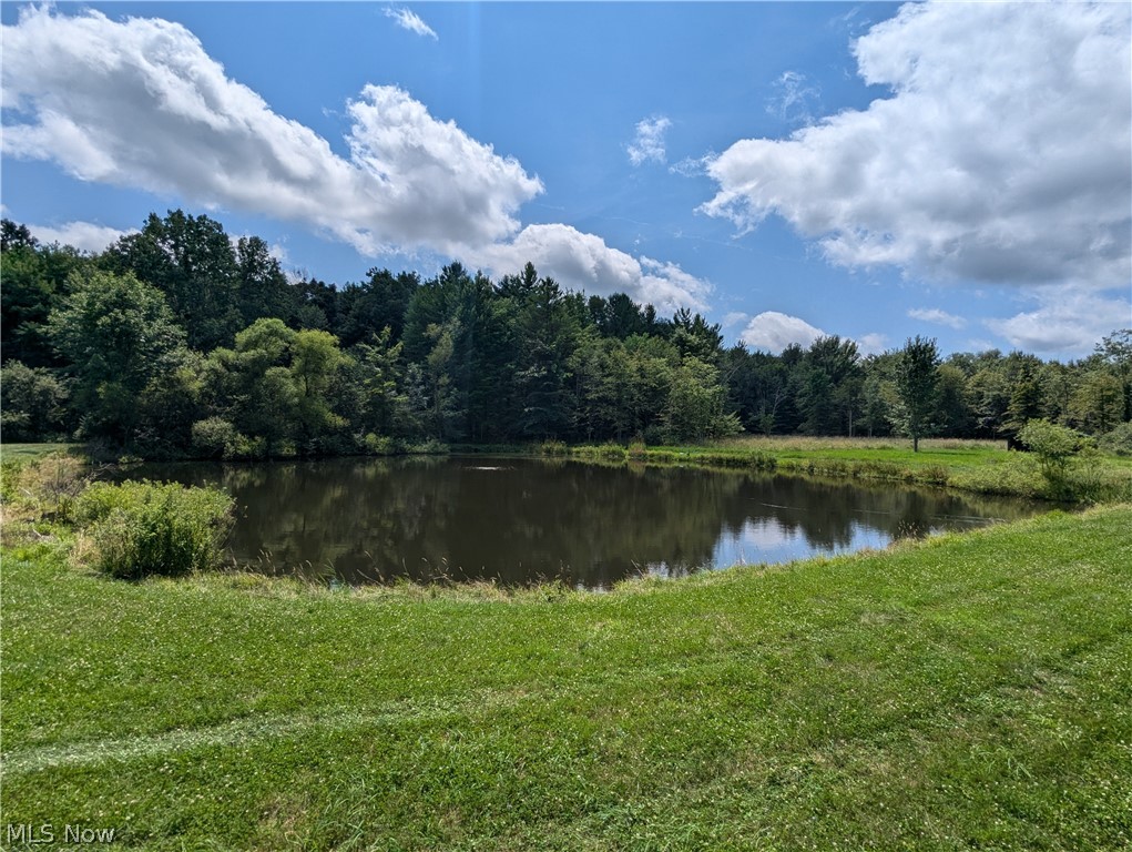 5076 Anderson Road Pierpont, OH 44082 - Photo 16 of 42 Gallery Image 16