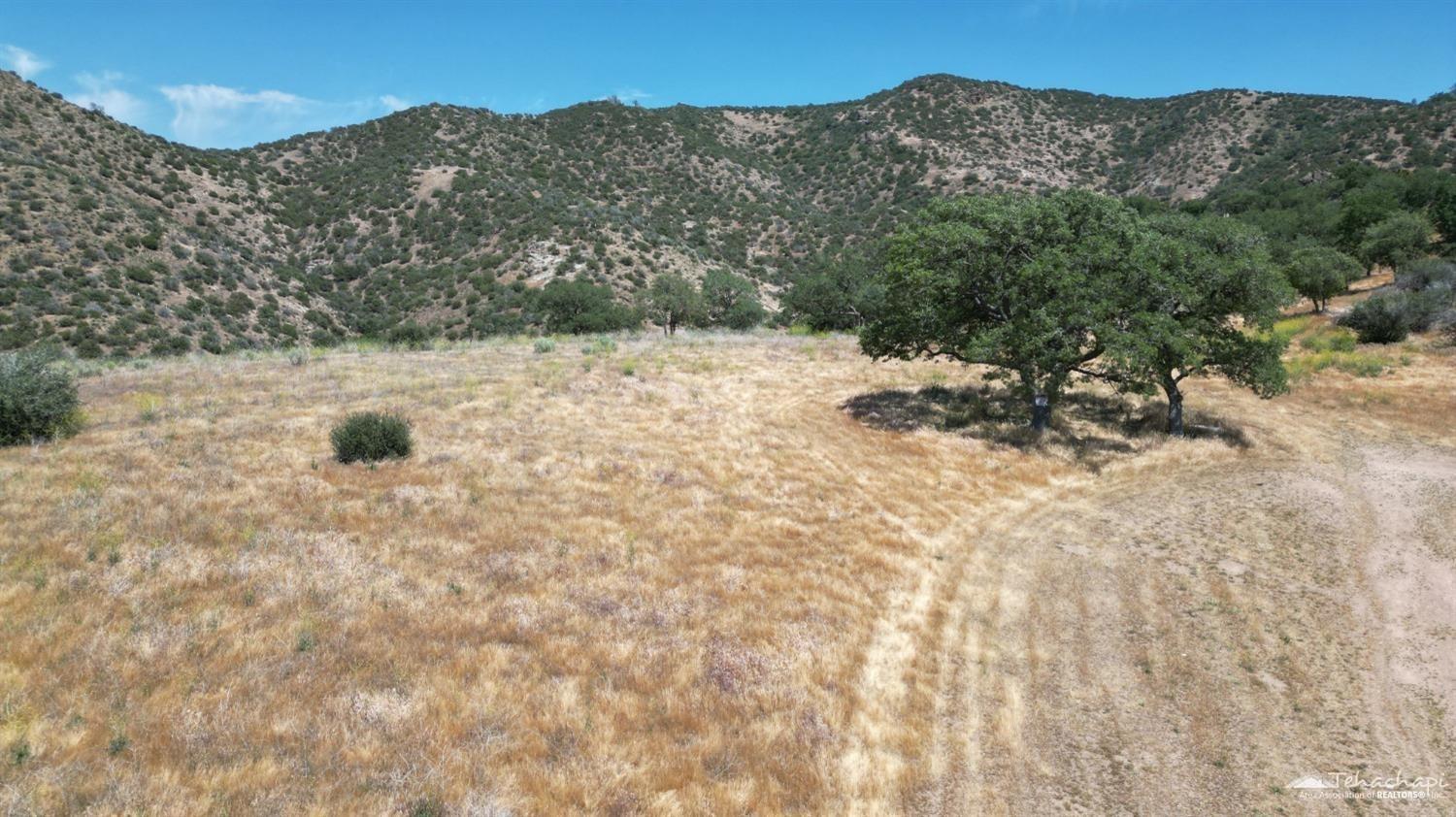 0 Hill Top Road Caliente, CA 93518 - Photo 8 of 11 Gallery Image 8