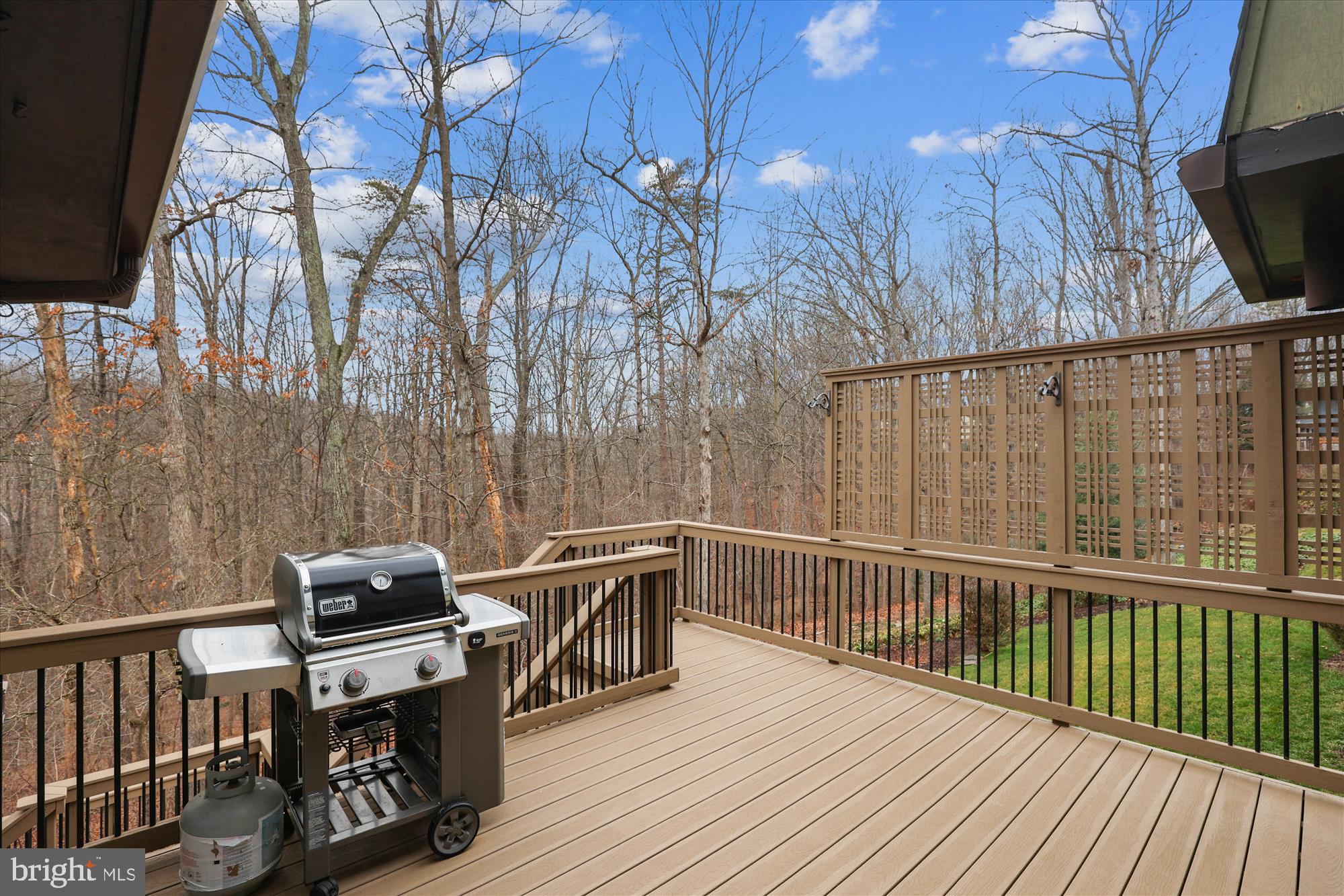 10703 Midsummer Drive Reston, VA 20191 - Photo 77 of 90 Gallery Image 77
