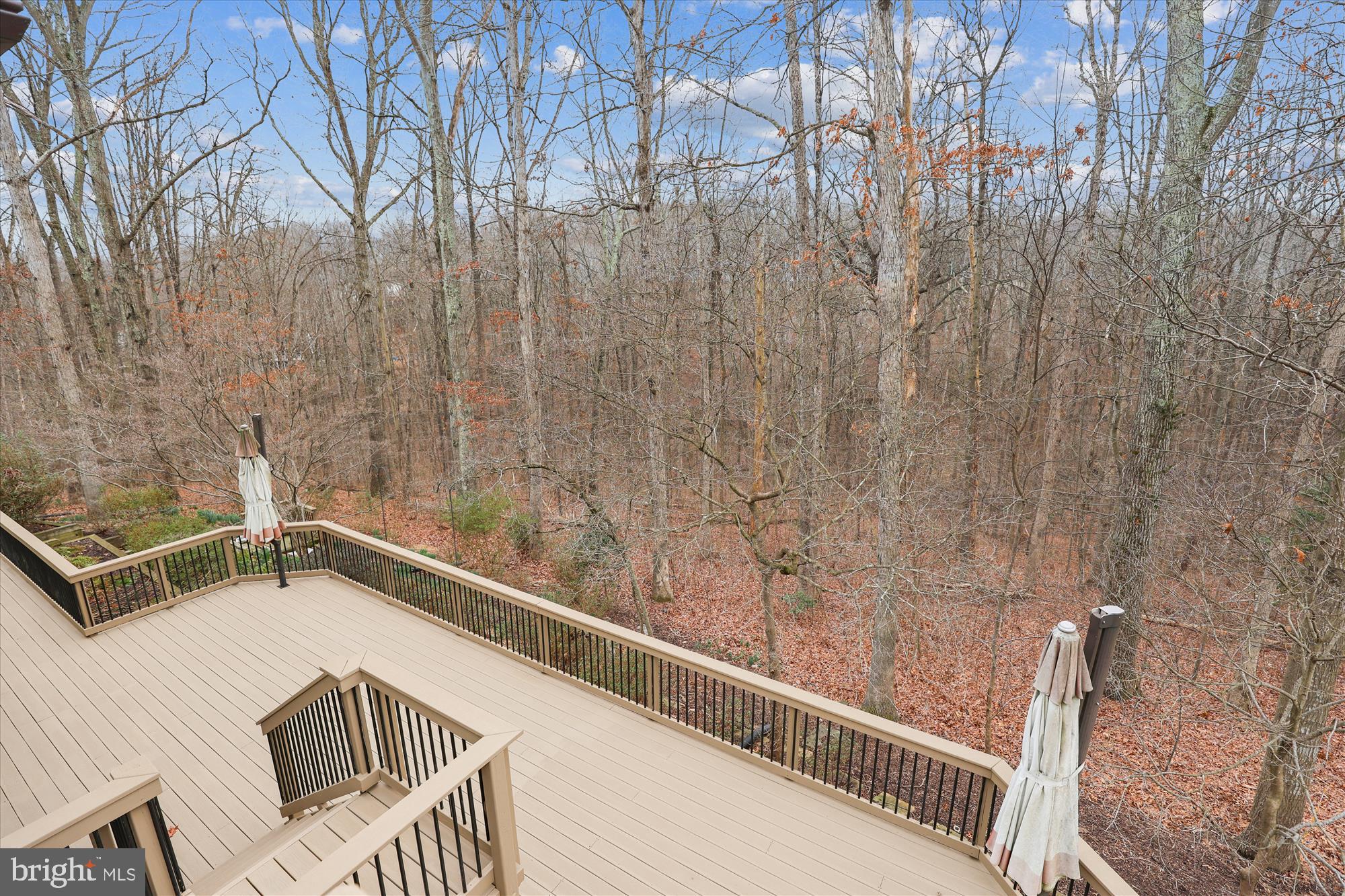 10703 Midsummer Drive Reston, VA 20191 - Photo 79 of 90 Gallery Image 79