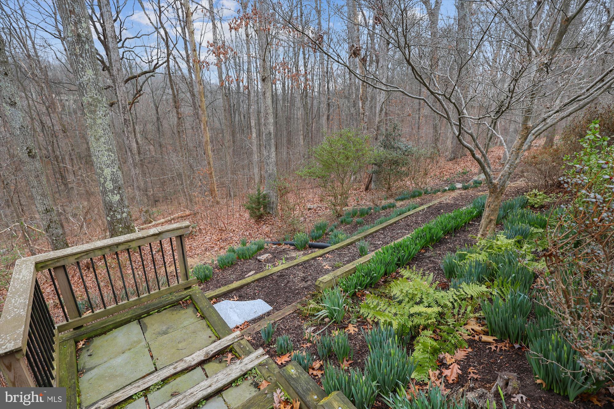 10703 Midsummer Drive Reston, VA 20191 - Photo 85 of 90 Gallery Image 85