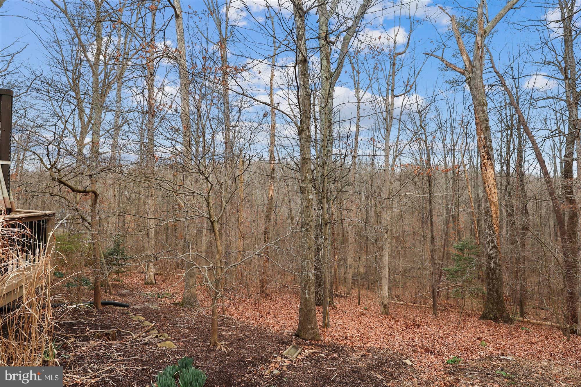 10703 Midsummer Drive Reston, VA 20191 - Photo 86 of 90 Gallery Image 86