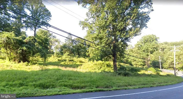 a view of yard with green space