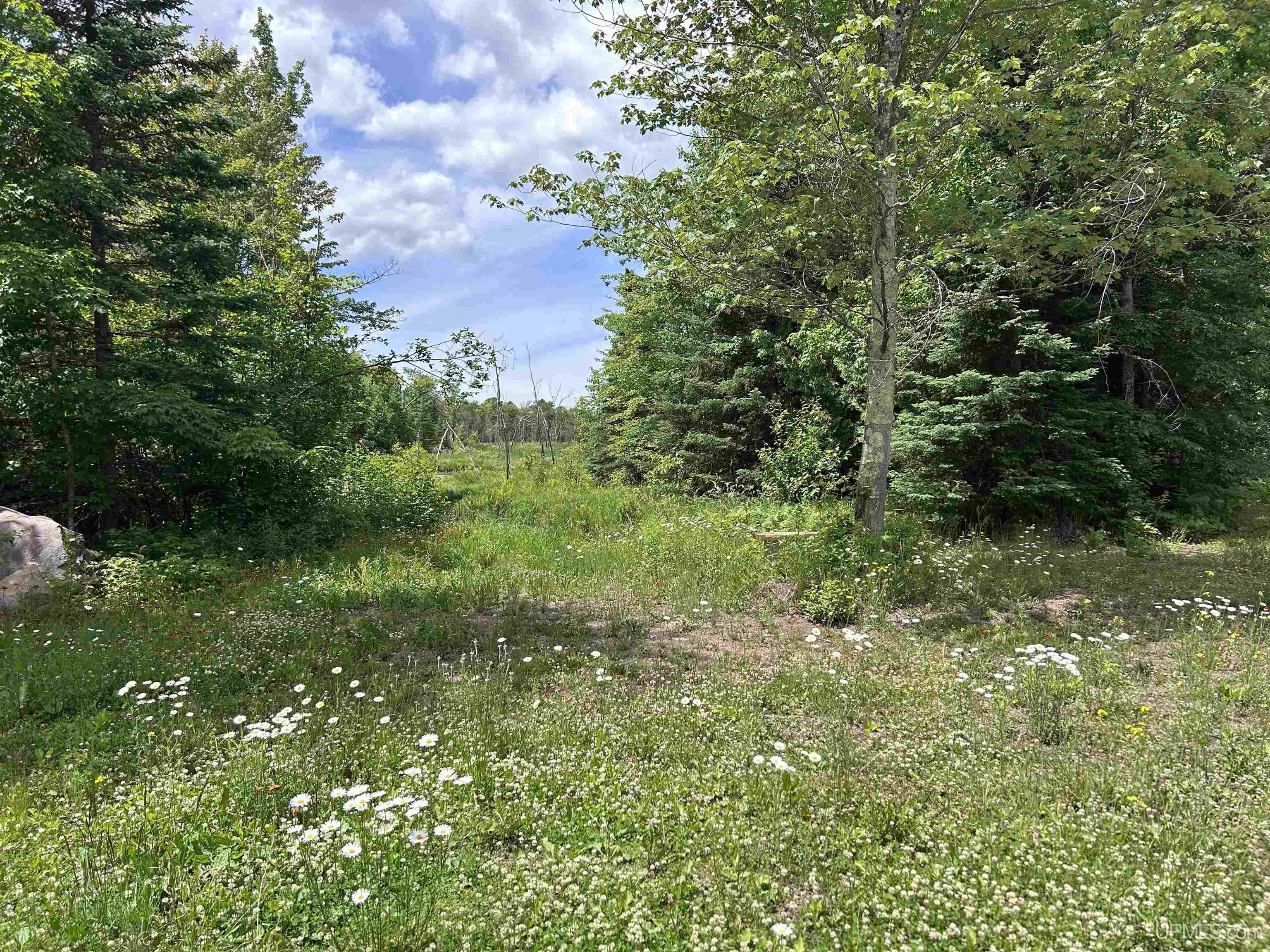 724 North County 519 Road Wakefield, MI 49968 - Photo 3 of 14