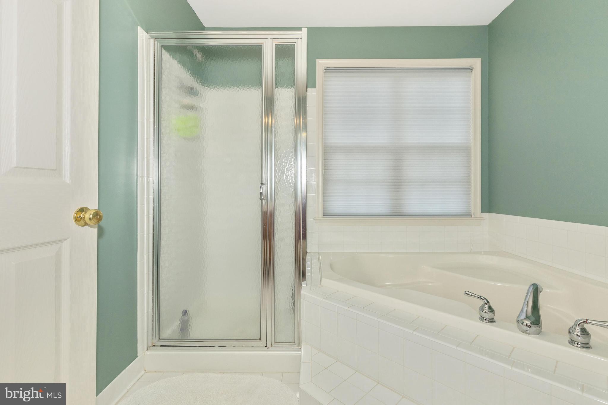 2618 Mill Race Road Frederick, MD 21701 - Photo 22 of 39 Soaking tub and stall shower for whatever you need
