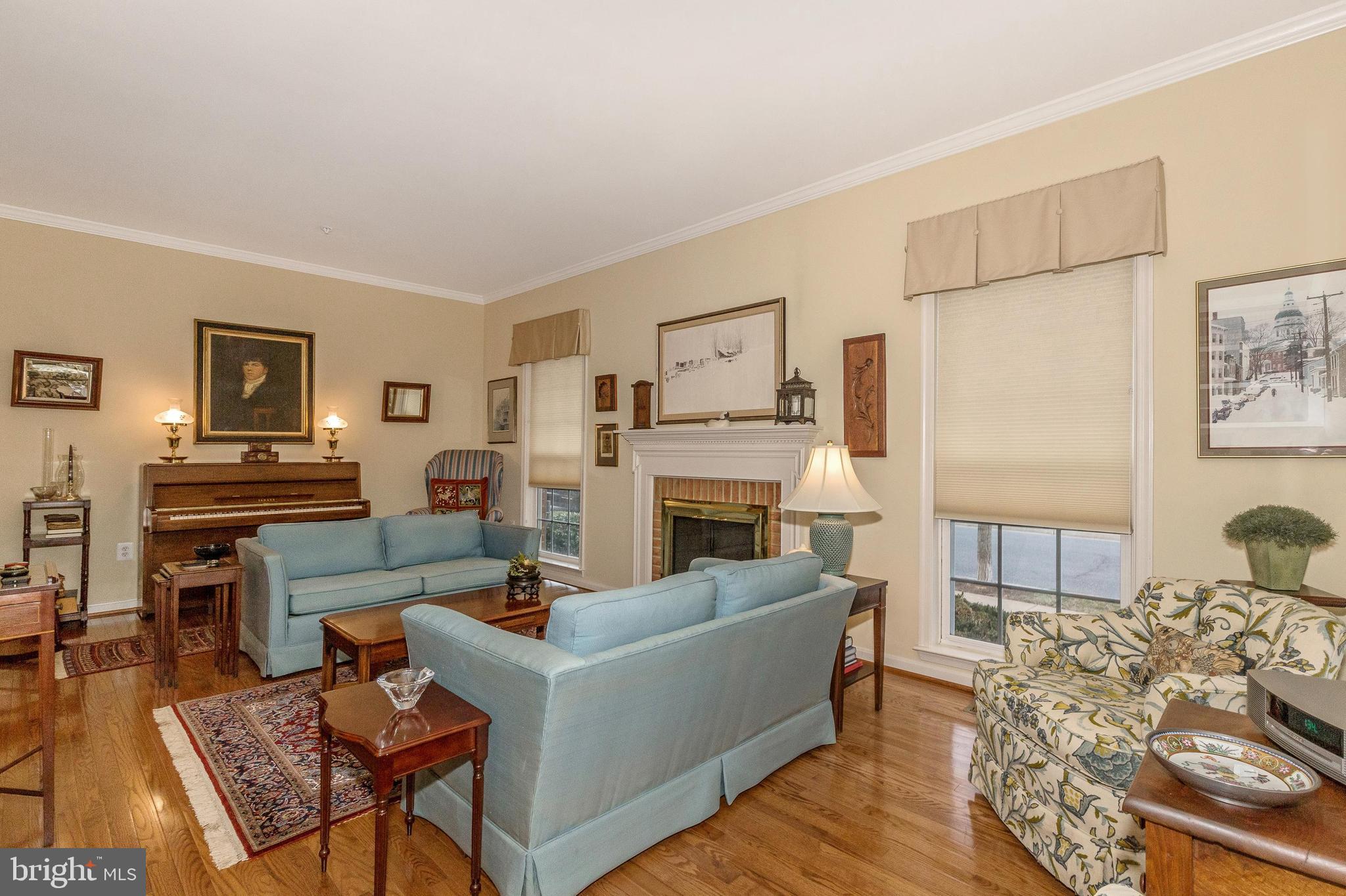 2618 Mill Race Road Frederick, MD 21701 - Photo 6 of 39 Gas fireplace perfect for cozy evenings.