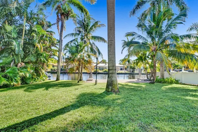 a view of a backyard with palm trees