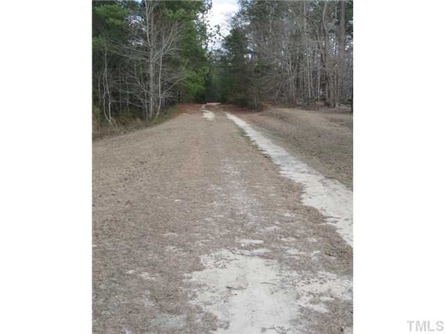 1601 Morgan Road Benson, NC 27504 - Photo 24 of 25 Path leading to home.