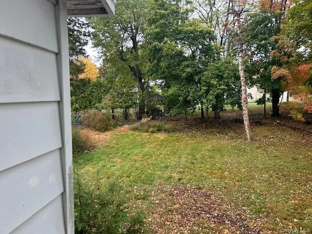 a view of a backyard with a tree