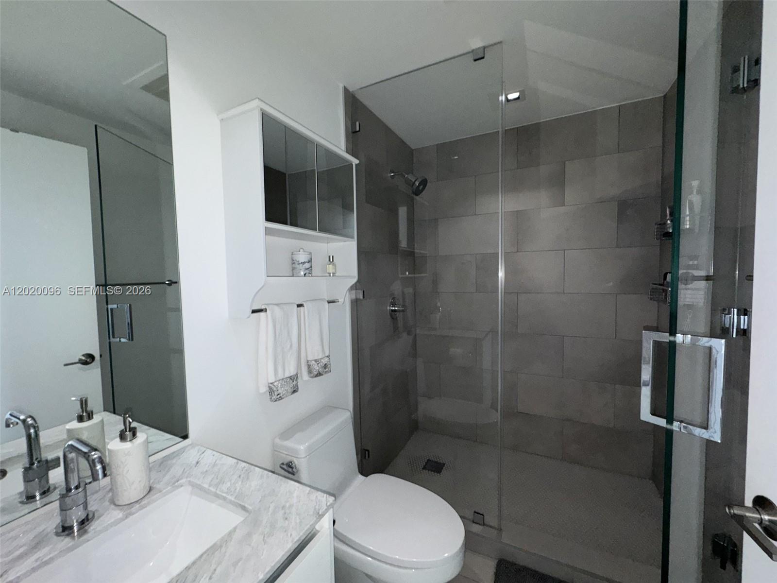 788 Northeast 23rd Street, Unit 1202 Miami, FL 33137 - Photo 34 of 64 a bathroom with a shower a toilet and sink