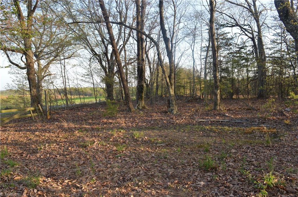 1150 Noel Martin Road Sandy Ridge, NC 27046 - Photo 20 of 30 Gallery Image 20