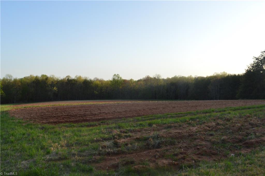 1150 Noel Martin Road Sandy Ridge, NC 27046 - Photo 26 of 30 Gallery Image 26