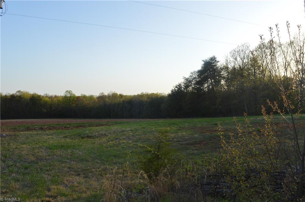 1150 Noel Martin Road Sandy Ridge, NC 27046 - Photo 4 of 30 Gallery Image 4