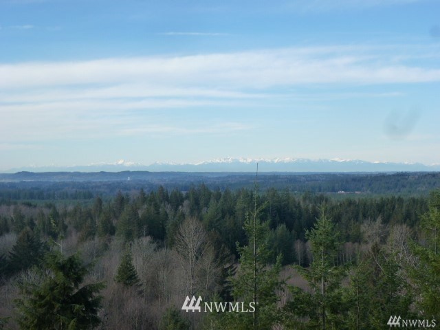 33330 Sultan Basin Road Sultan, WA 98294 - Photo 20 of 20 a view of a city with lush green forest