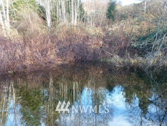 33330 Sultan Basin Road Sultan, WA 98294 - Photo 5 of 20 a view of a forest with large trees
