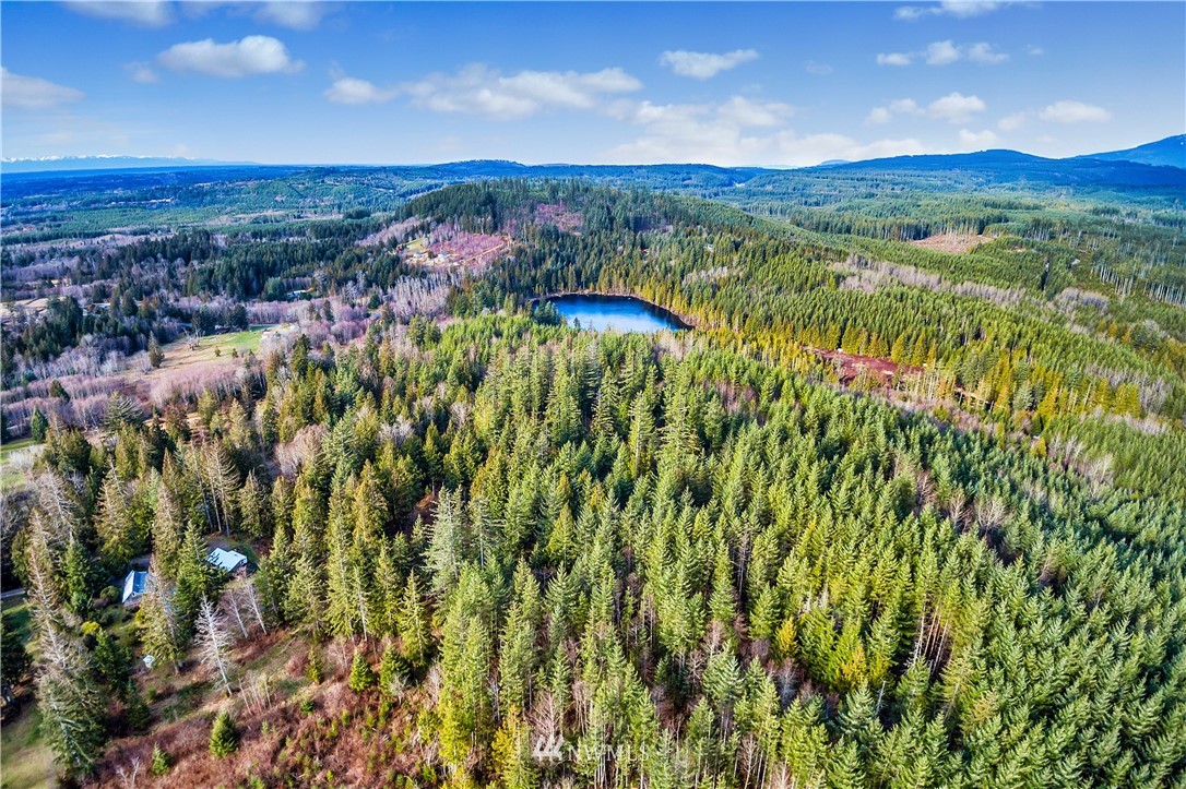 33330 Sultan Basin Road Sultan, WA 98294 - Photo 6 of 20 a view of a city with lush green forest