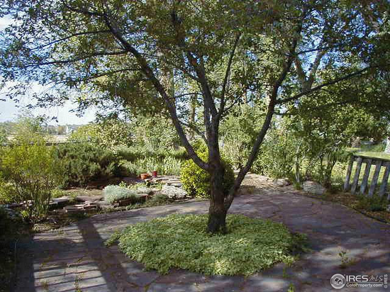 6033 Jay Road Boulder, CO 80301 - Photo 3 of 10 Gallery Image 3
