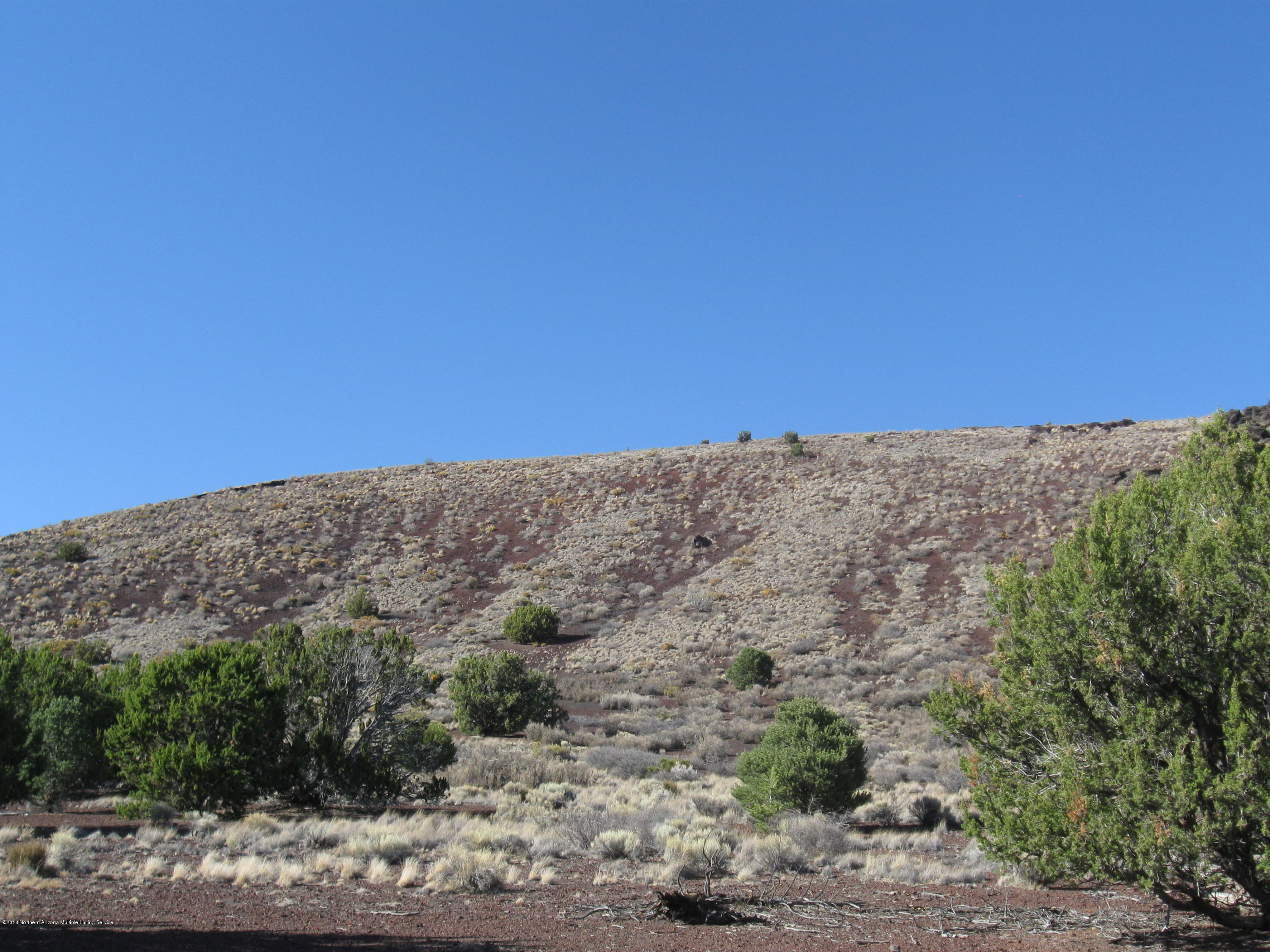 17035 A Alpine Ranch Flagstaff, AZ 86004 - Photo 1 of 4 Parcel view