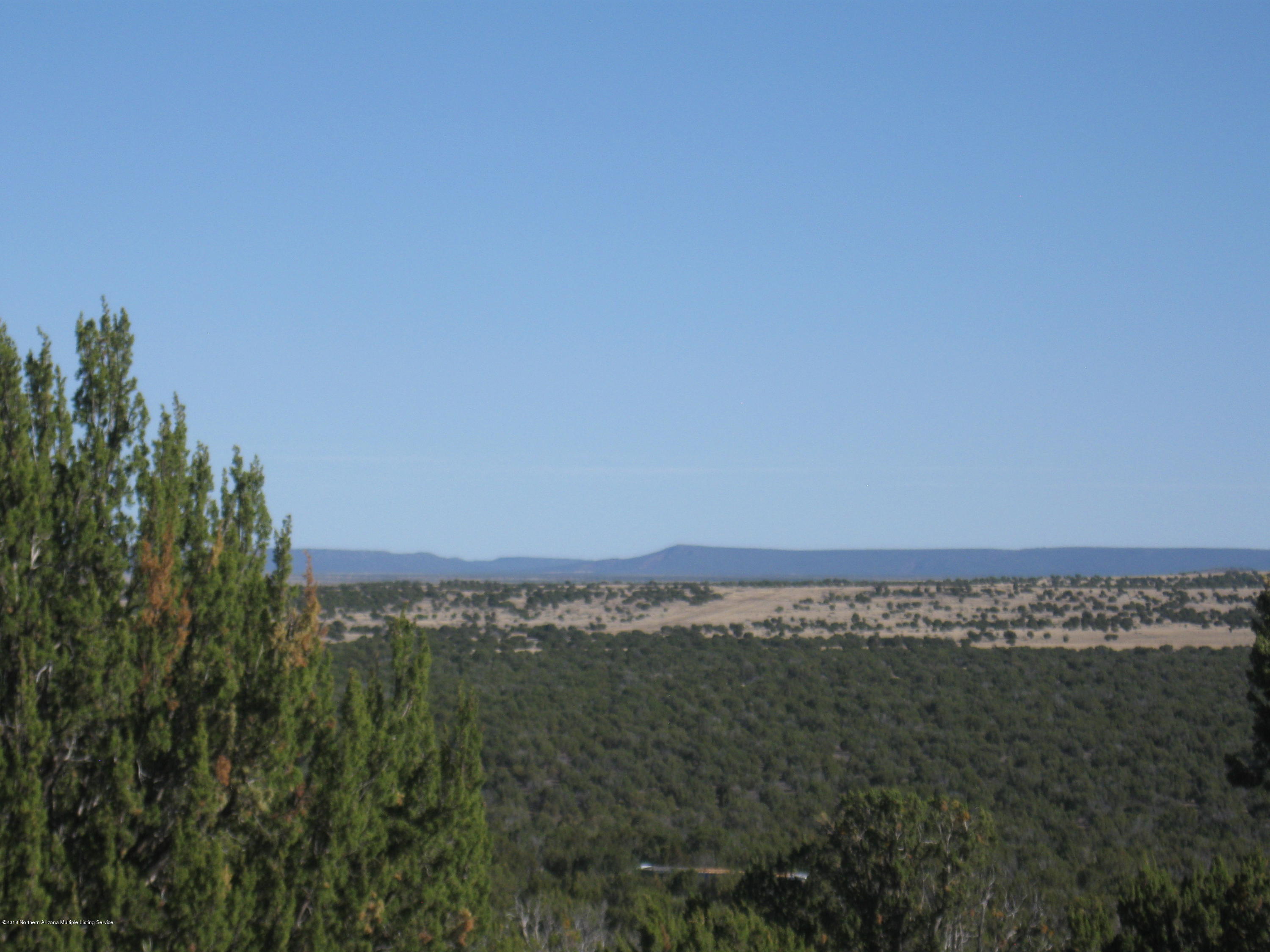 17035 A Alpine Ranch Flagstaff, AZ 86004 - Photo 3 of 4 Views from parcel