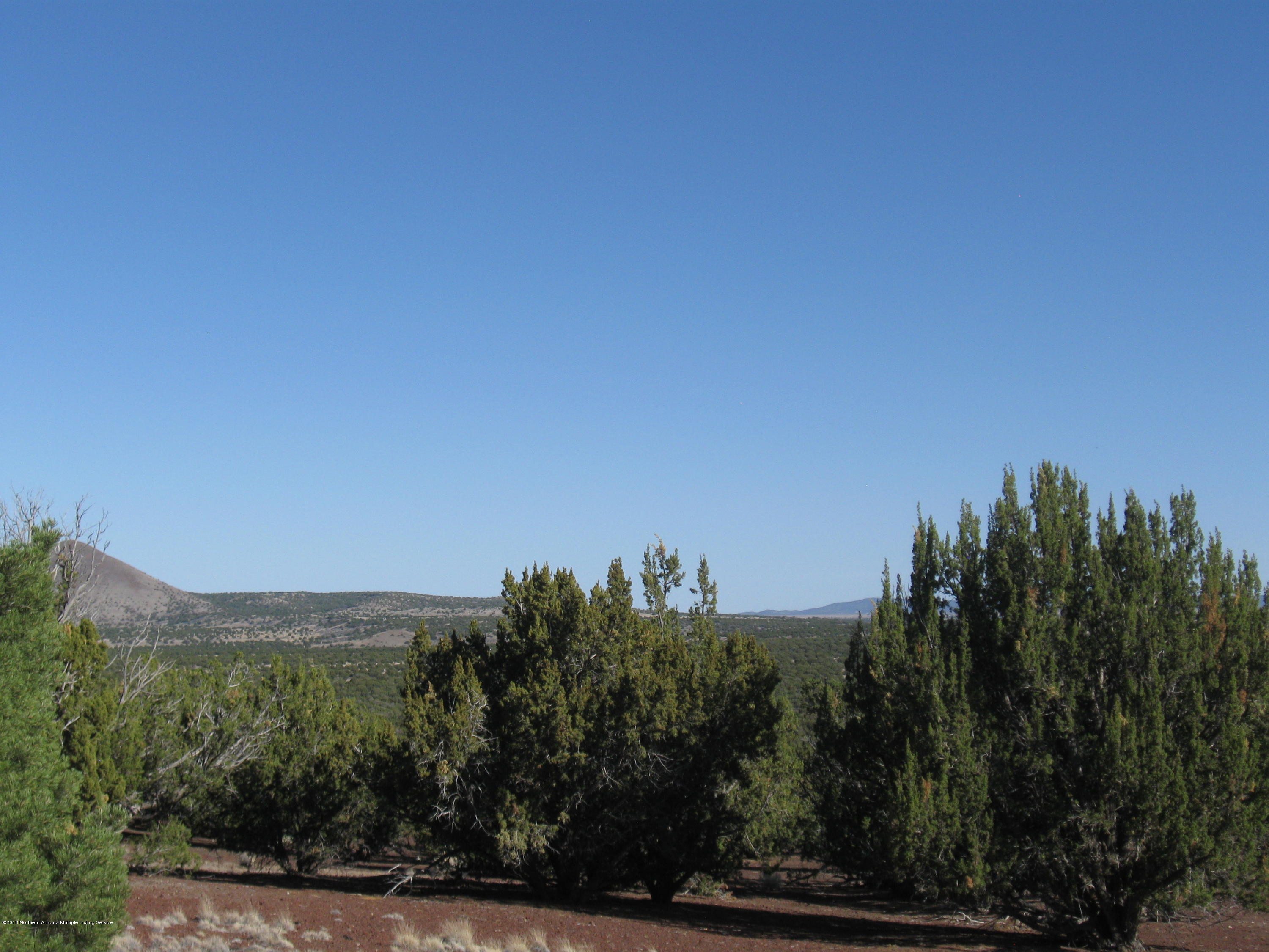 17035 A Alpine Ranch Flagstaff, AZ 86004 - Photo 4 of 4 Views from parcel 2