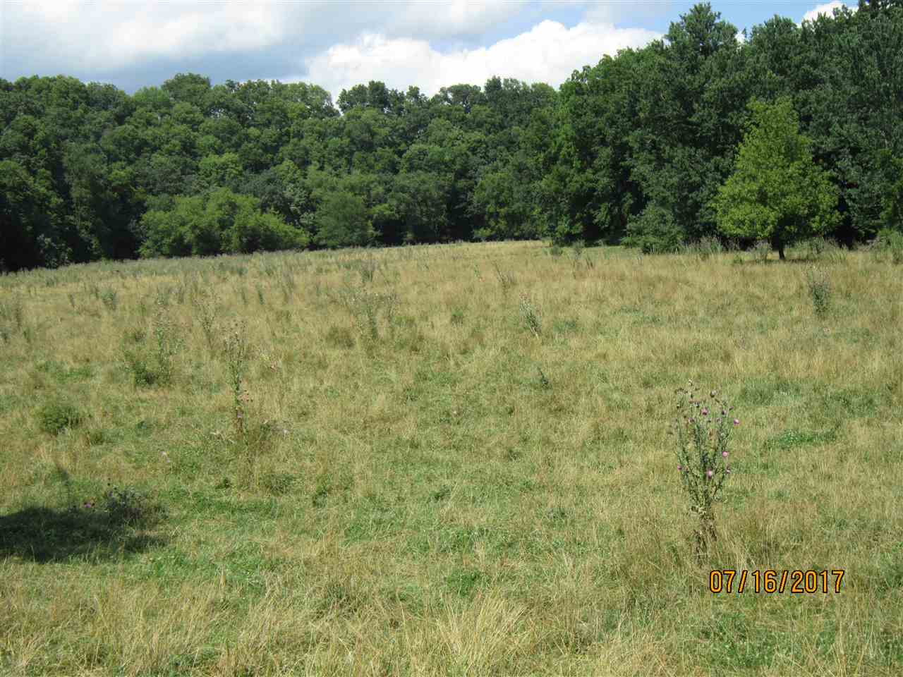 Fischer Road Bernard, IA 52032 - Photo 10 of 24 Gallery Image 10