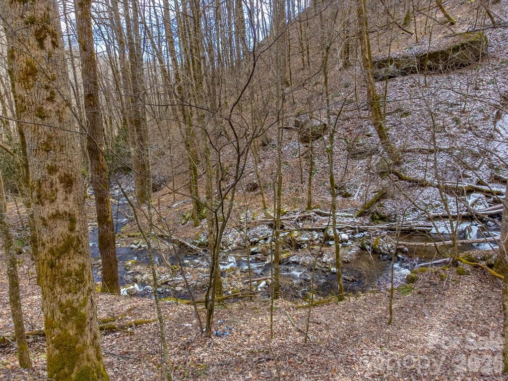 1668 Buff Creek Road Sylva, NC 28779 - Photo 41 of 42