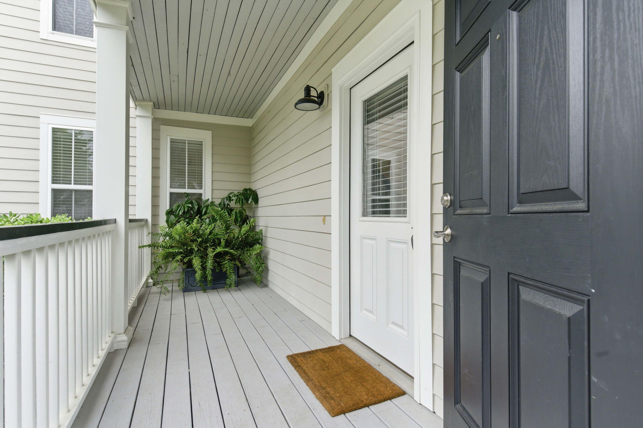 1125 Dawn View Terrace Mount Pleasant, SC 29464 - Photo 3 of 43 6-web-or-mls-NCP02237