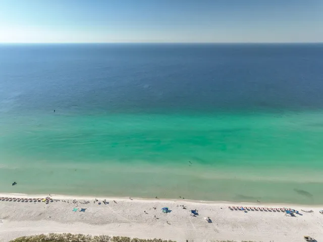 a view of a large yard