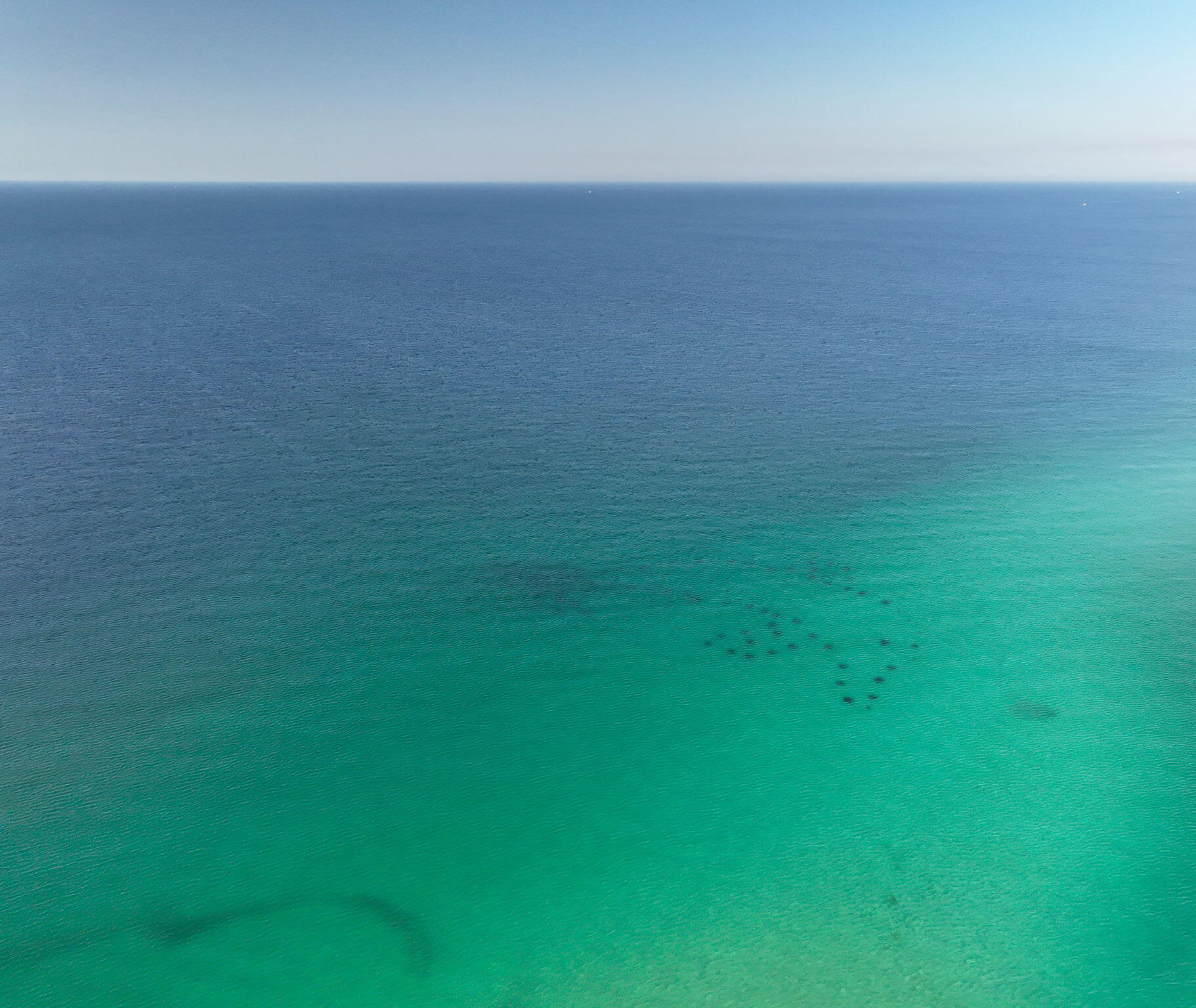 60 Sandprints Drive, Unit C12 Miramar Beach, FL 32550 - Photo 46 of 53 a view of a field with a tree
