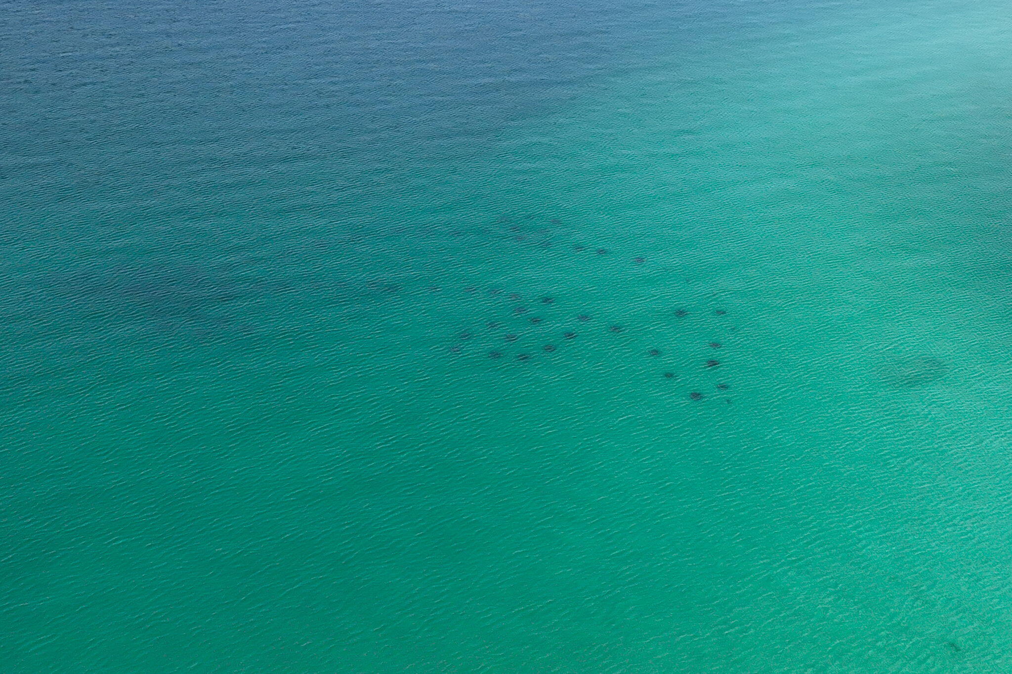 60 Sandprints Drive, Unit C12 Miramar Beach, FL 32550 - Photo 47 of 53 a view of a large yard