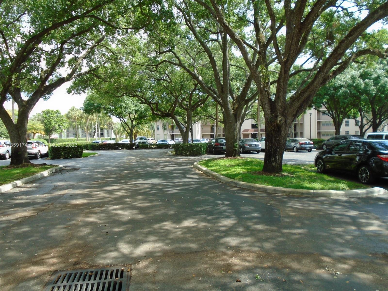 Sabal Palm of Pine Davie, FL 33324 - Photo 2 of 30 a view of a park with large trees
