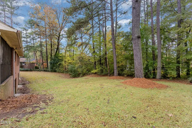 a view of a yard with trees