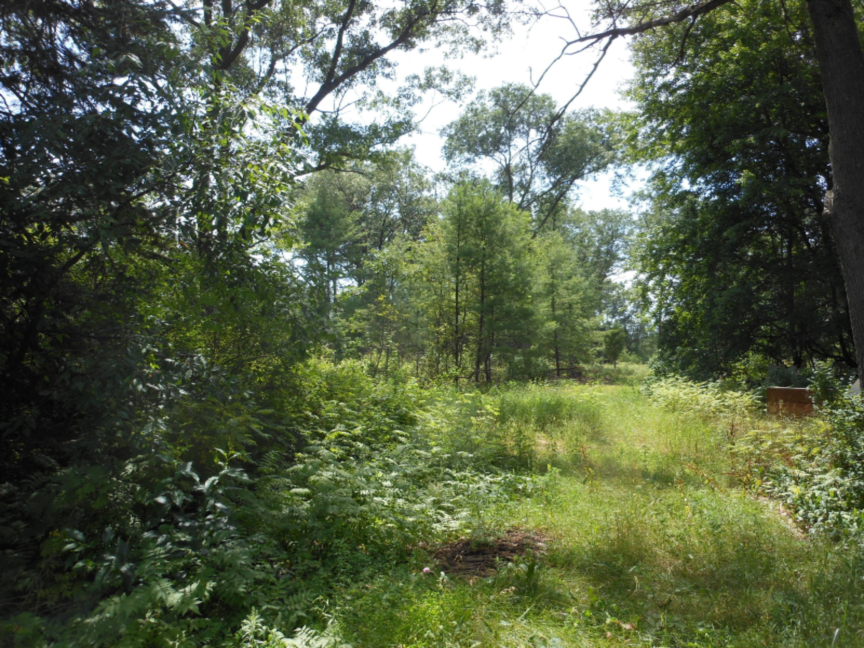 59 South Maple Island Road Muskegon, MI 49442 - Photo 8 of 18 DSCN0524